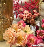 冬天的花真的象征爱情吗？