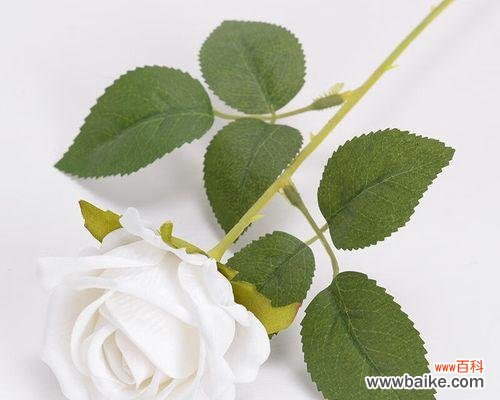 假花在情人节有何意义？情人节使用假花的寓意是什么？