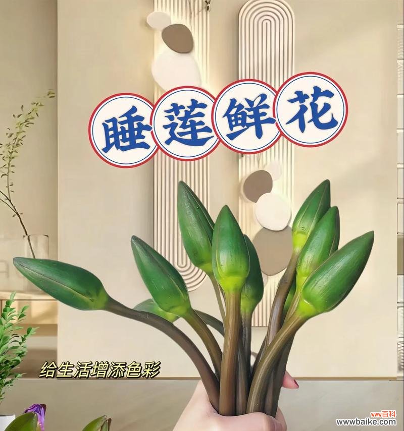 紫白色花的意义？在花艺设计中扮演什么角色？