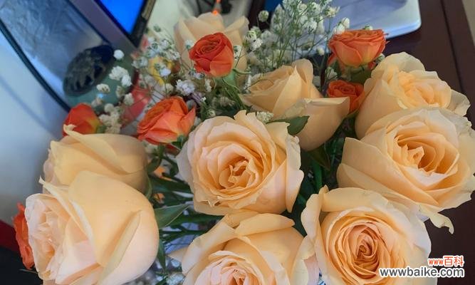 玫瑰花颜色不同意义有区别吗？