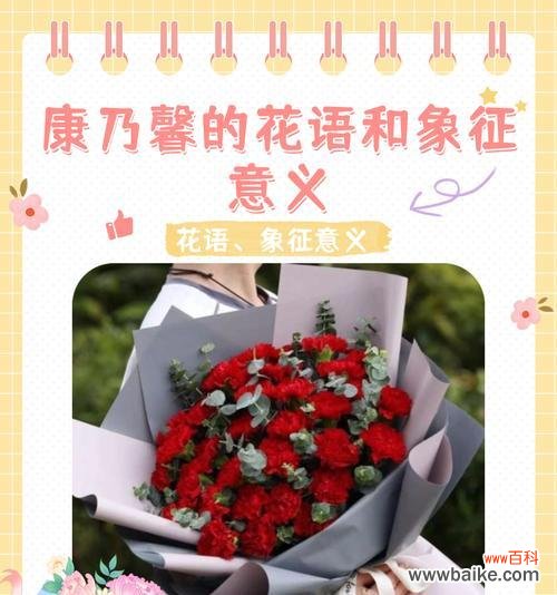 爱情花语有哪些及其寓意是什么?