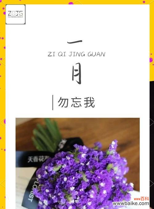 大连四季花语有哪些？大连季节花语大全是什么？