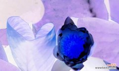 以蓝莲花探究生命与希望的意义 蓝莲花