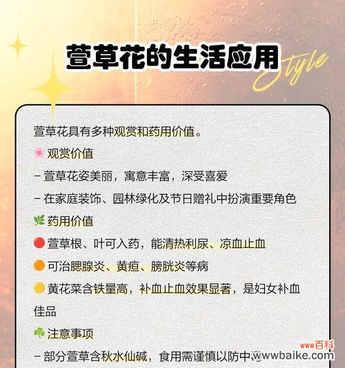 萱草花的文化意义有哪些?萱草花代表什么文化?