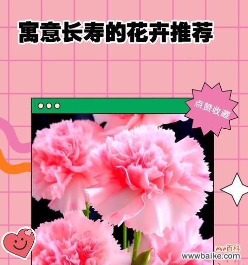 哪种花象征加油好运？它的花语是什么？