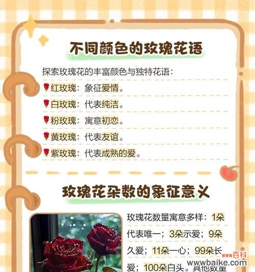 花语如何代表爱情？每种花语背后的意义是什么？