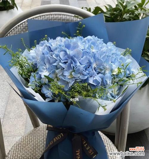 一朵蓝色风信子 蓝色风信子花语