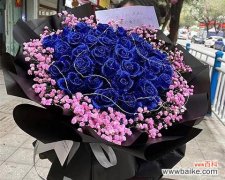 探究蓝色满天星的象征意义及传递的情感 蓝色满天星的花语与寓意