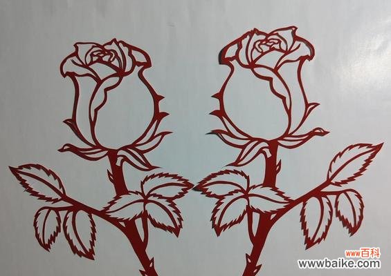 白色的玫瑰花寓意着什么?