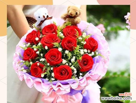 八朵粉色玫瑰代表什么?它们的花语是什么?