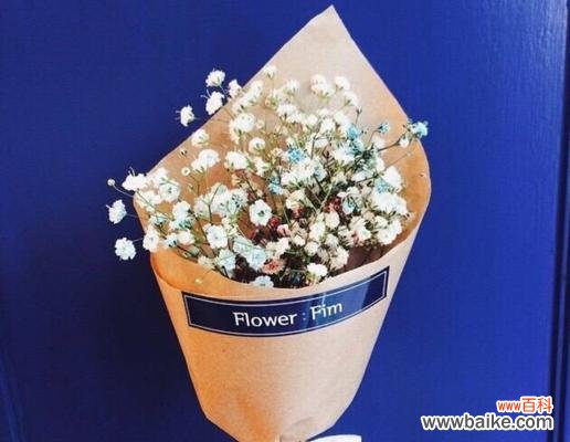 探索蓝色满天星花语的深刻内涵 蓝色满天星花语的美丽寓意