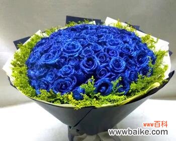 解读蓝色玫瑰花的神秘之美 蓝色玫瑰花的象征意义