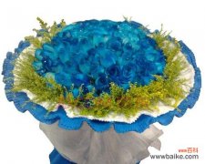 解读蓝色玫瑰花的神秘之美 蓝色玫瑰花的象征意义