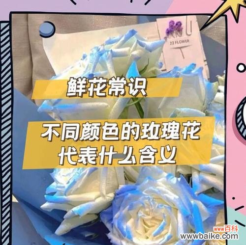 七种颜色玫瑰各自代表什么寓意？