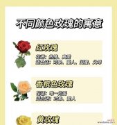 日本有哪些花象征健康？这些花的花语是什么？