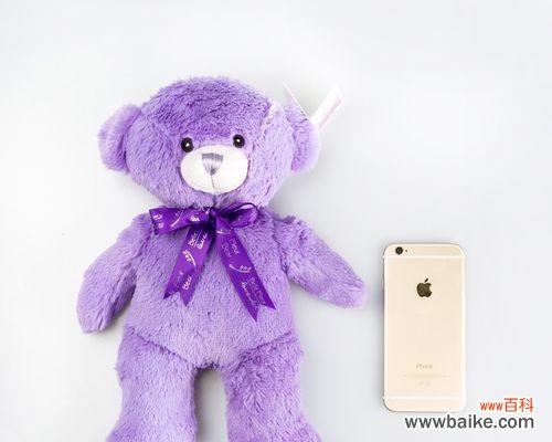 紫色花语娃娃代表什么?如何挑选与搭配?