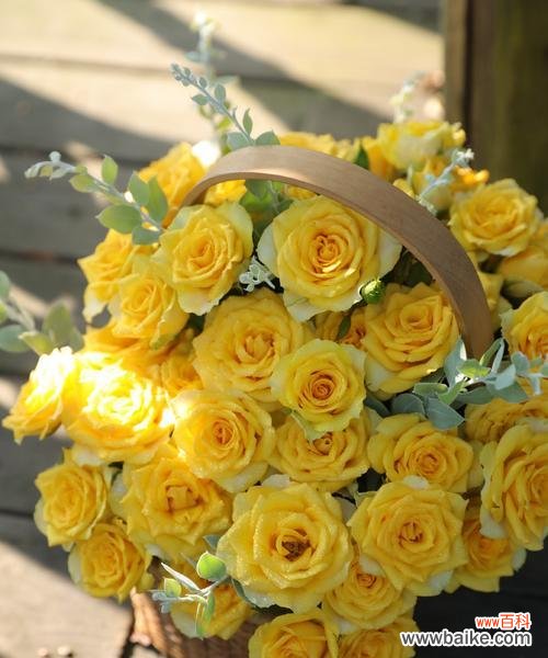 戴黄色花的寓意好吗？