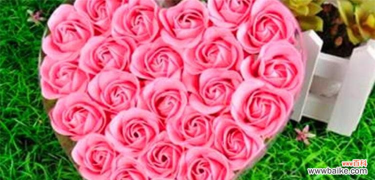 探寻粉色玫瑰的深意，品味爱情的温柔 粉色玫瑰的花语及其意义解析