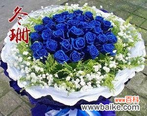 探寻蓝色妖姬11朵的神秘内涵 以蓝色妖姬11朵代表的意义与象征