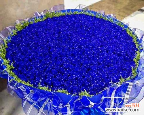 以蓝色妖姬为代表的寓意及其深层含义 蓝色妖姬