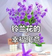哪种花象征幸福生活？幸福生活的花语有哪些？
