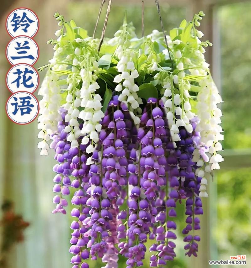 哪种花象征幸福生活?幸福生活的花语有哪些?