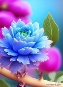 橙色蔷薇花的寓意是什么？求回答橙色蔷薇花代表什么？