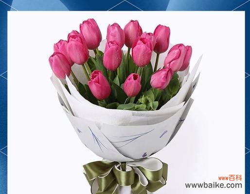 哪种颜色的花代表友谊？花的颜色与友谊象征有何关联？