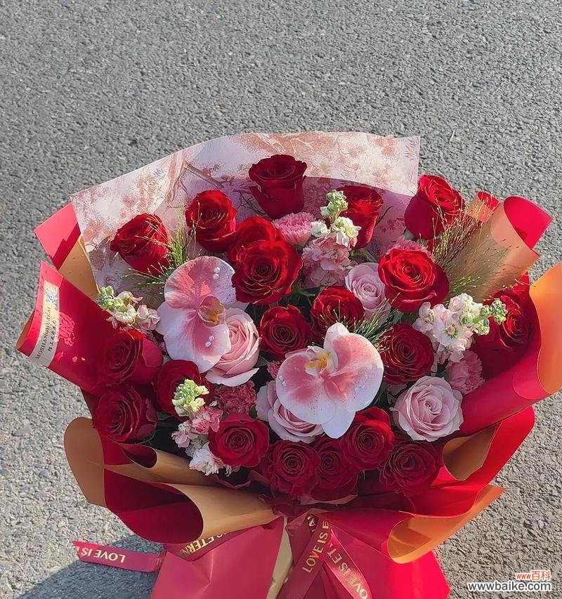 送老人玫瑰花有何特别含义？