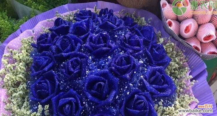 揭秘蓝色妖姬的诗意来源 蓝色妖姬花语