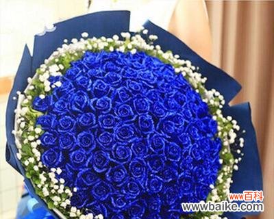 揭秘蓝色妖姬的诗意来源 蓝色妖姬花语