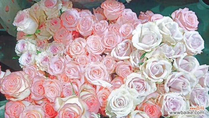 如何解析浪漫花语?每种花语代表什么情感?