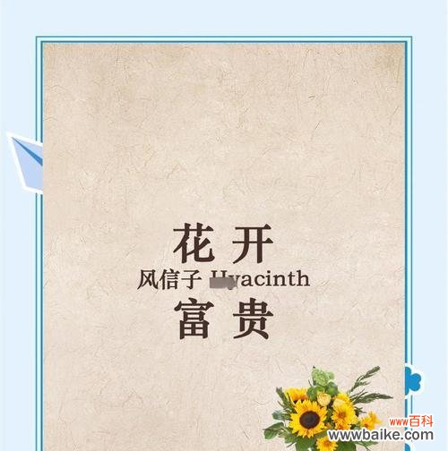 如何解析浪漫花语?每种花语代表什么情感?