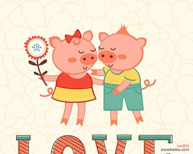 情人节猪和玫瑰花组合的寓意是什么?