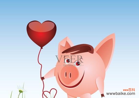 情人节猪和玫瑰花组合的寓意是什么?