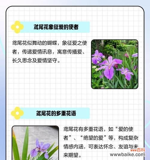 哪些花寓意代表爱情？它们的花语是什么？