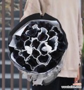 黑色玫瑰的神秘与美丽 黑色玫瑰的花语