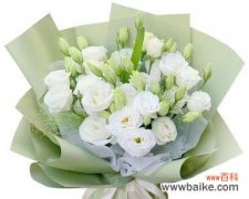 白色桔梗花的花语和寓意是什么？它代表了什么？