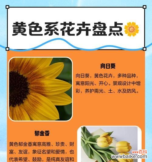 桃心黄色口布折花代表什么含义？