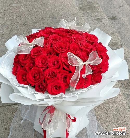 探索红玫瑰在不同文化中的意义与用途 红玫瑰的象征意义