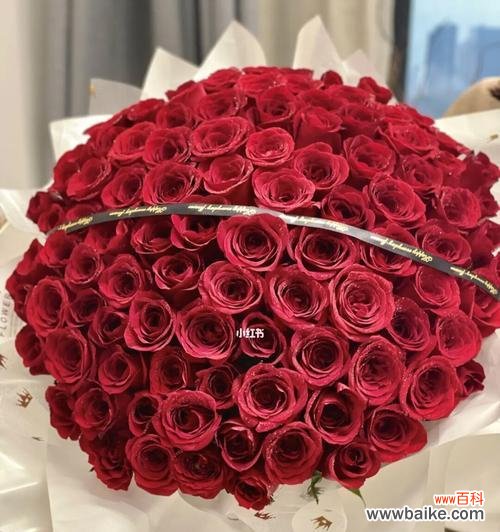 揭示红玫瑰花所代表的情感和意义 红玫瑰花的寓意与象征