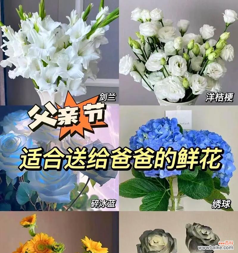 父亲节花束中寓意发财的花是什么？如何选择？