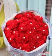 探索粉色康乃馨的美丽和寓意 粉色康乃馨的象征意义