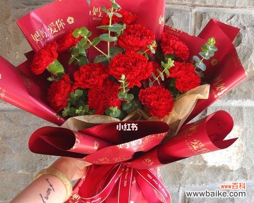 探索粉色康乃馨的美丽和寓意 粉色康乃馨的象征意义