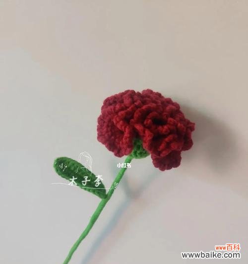 唯美花朵的微笑 桃红色康乃馨花语