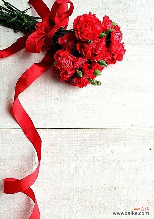 唯美花朵的微笑 桃红色康乃馨花语