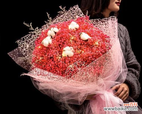 探寻满天星花的浪漫与神秘 迷人紫红,满天星的花海