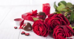 探寻玫瑰花的柔情与温馨 粉红色玫瑰花语-爱与纯洁的象征