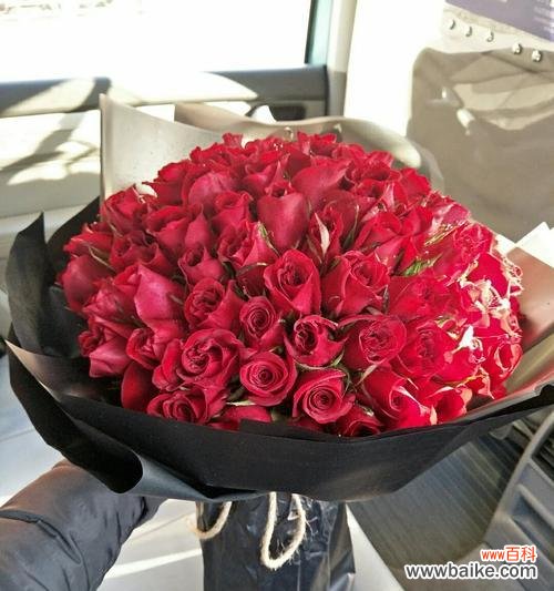 揭示粉色玫瑰花的象征与情感纠葛 粉色玫瑰花的深层意义