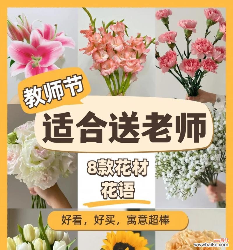 教师节送什么花寓意好?教师节花语有哪些推荐?